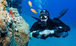 The 5 Best Scuba Diving Spots in the Bahamas