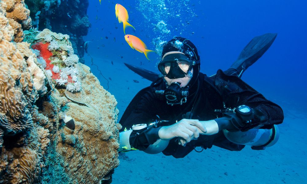 You are currently viewing The 5 Best Scuba Diving Spots in the Bahamas